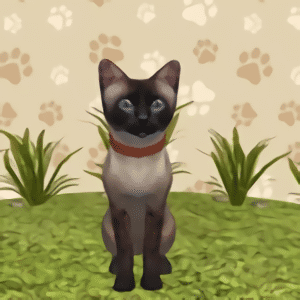 新蒲京APP官网下载养成手游下载-新蒲京APP官网下载养成游戏最新版下载 v1.0.2 安卓版